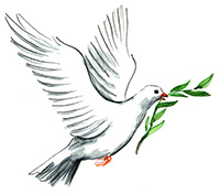 peace dove