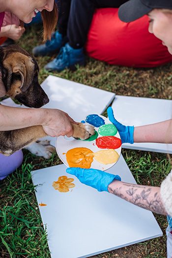 painting