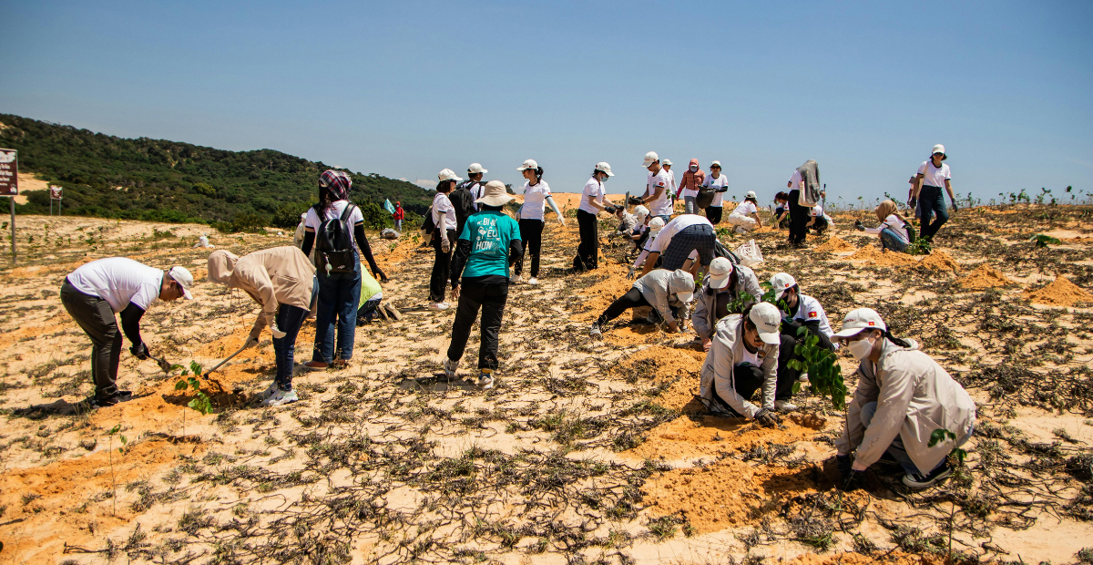 Image of many people planting in barren dirt