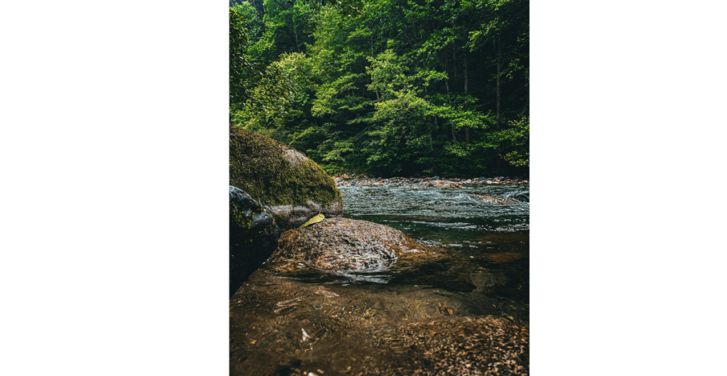 Image of the view of a river from rocks on the edge with a forest in the background.