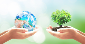 Images of two sets of hands--one holding a mini globe and one holding a mini tree in soil