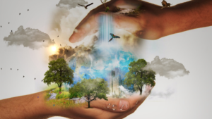 Image of hands cupping images of nature including trees, birds and clouds